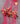 Charity (Krebs) - Flugzeug (Lasercut) -Limited