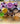 elastisches Band, Happy Face, verstellbar, mit Edelstahlstopper - NEW - Limited
